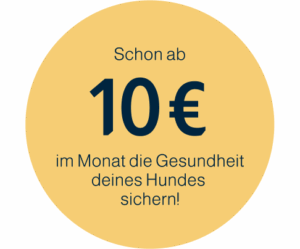 Hundeversicherung ab 10 Euro im Monat, Gesundheit deines Hundes sichern